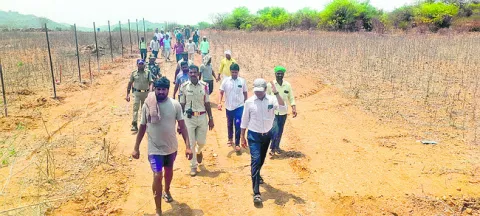 హై లె