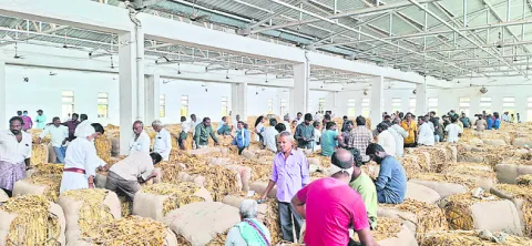 పొగాకు వేలం అడ్డగింత 