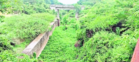 జల రవ