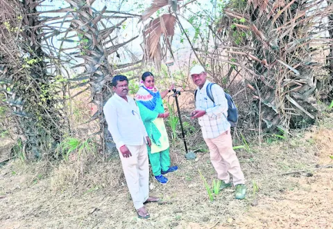 సర్వే