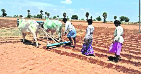 రుణపర