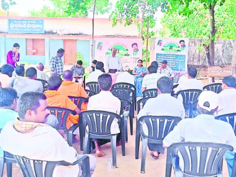లింగాకర్షక బుట్టలు ఏర్పాటు చేసుకోవాలి