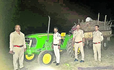 భారీ మొత్తంలో కలప పట్టివేత