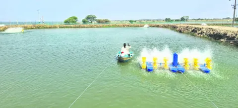 జంగమా
