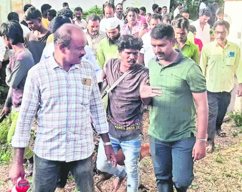సెల్‌