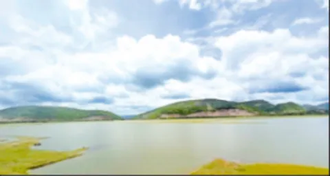 పంపా.