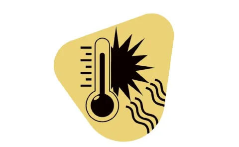 57 Percent of Indian Districts Face High to Very High Heat Risk: CEEW5