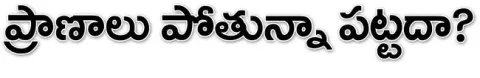 25న స