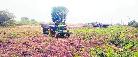 కాగ్న