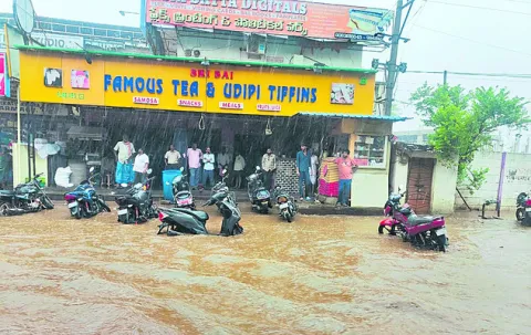 విరిగిన చెట్ల కొమ్మలు  
