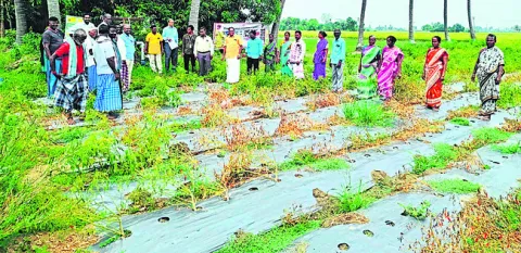 మైక్రో ఇరిగేషన్‌ పరికరాలపై అవగాహన 