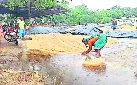 అకాల 