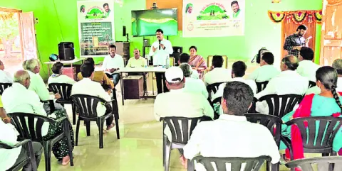 పంటల సాగులో జాగ్రత్తలు తీసుకోవాలి