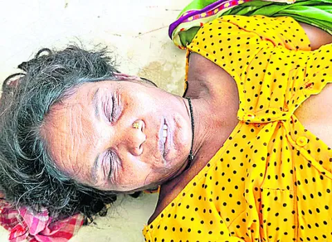 పాముకాటుతో మహిళ మృతి 