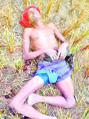 తాటిచెట్టు పై నుంచి పడి గీతకార్మికుడి మృతి