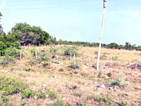 స్కెచ
