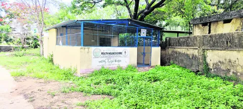 ఆయుర్