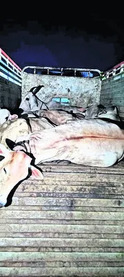నిందితుడికి రిమాండ్‌