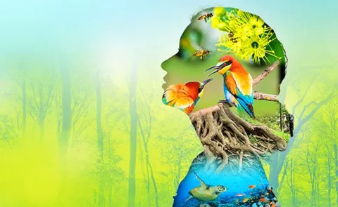 International Day for Biological Diversity 22 May