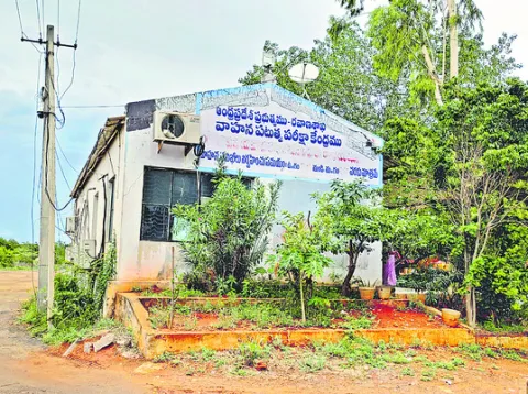ప్రైవేటుకే పటుత్వం! 