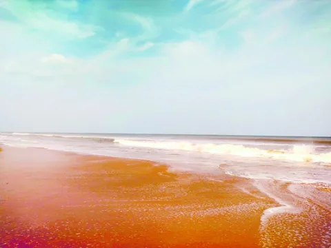  వల! 
