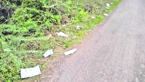 రోడ్డ