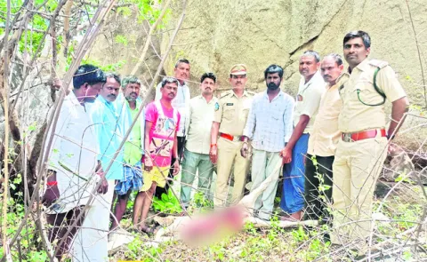 చిరుత దాడిలో  లేగదూడ హతం  
