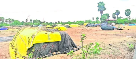 నిర్వ