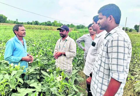 గిట్ట