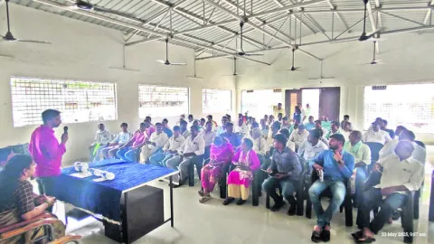లోతైన దుక్కులతో తెగుళ్ల నివారణ 