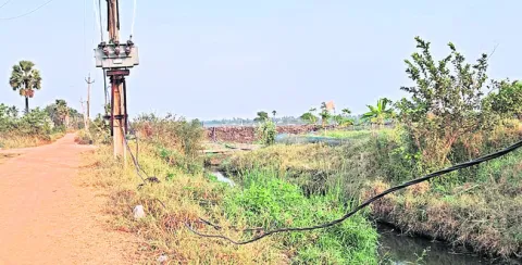 విద్య