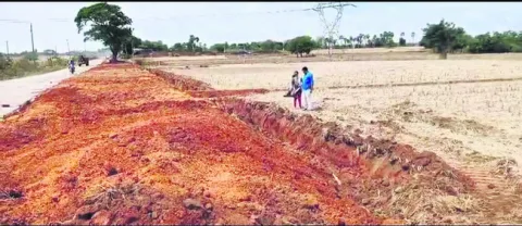 పొలాల