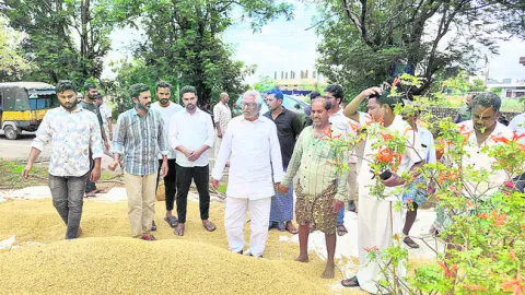తడిసిన ధాన్యాన్ని కూడా  కొనుగోలు చేయాలి