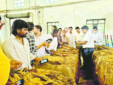 మార్కెట్‌కి అనుగుణంగా బేళ్లు తీసుకురావాలి 