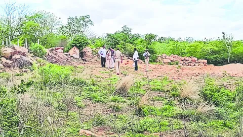 అటవీ 