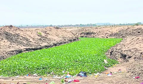 గోదావ