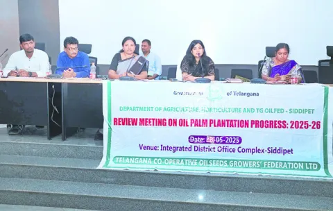 ఆయిల్‌పామ్‌ సాగు లక్ష్యం సాధించాలి 