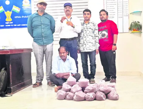 నిషేధిత బీజీ–3 పత్తి విత్తనాల పట్టివేత 