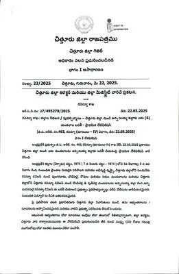 పుంగన
