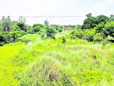 చంపావతిపై చిన్నచూపు 