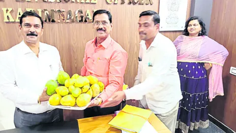 ఆయిల్