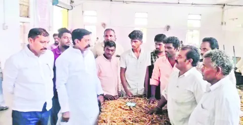 పొగాకు రైతుల పరిస్థితి దారుణం