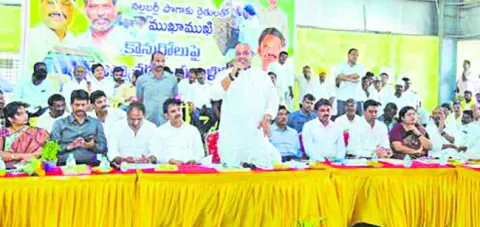 నల్లబర్లీ కొనుగోలు చేయిస్తాం 