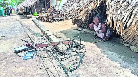 జనావా