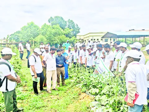 సమగ్ర కీటక నివారణపై కేవీకేలో శిక్షణ