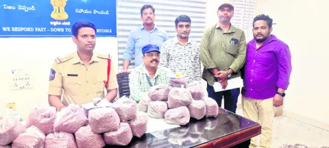 నిషేధిత బీజీ–3 పత్తి విత్తనాల పట్టివేత 