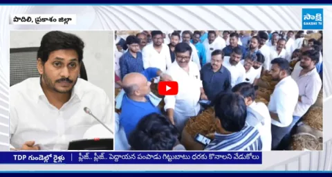 YS Jagan Podili Tour Tension In CM Chandrababu And Leaders 1