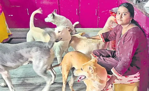 Special Story On Stray Dog
