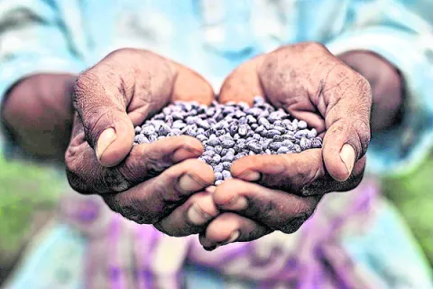 పలకరించిన తొలకరి.. జాగ్రత్తే అన్నదాత విధి