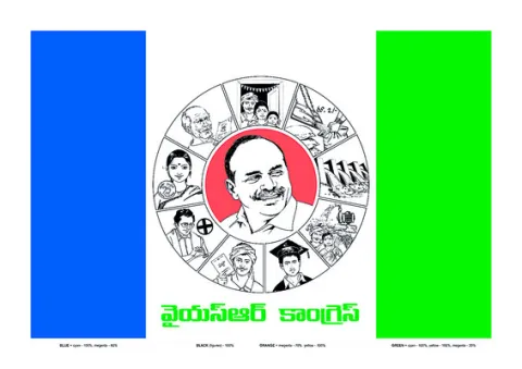 వైఎస్సార్‌సీపీ రాష్ట్ర అనుబంధ కమిటీల్లో చోటు 